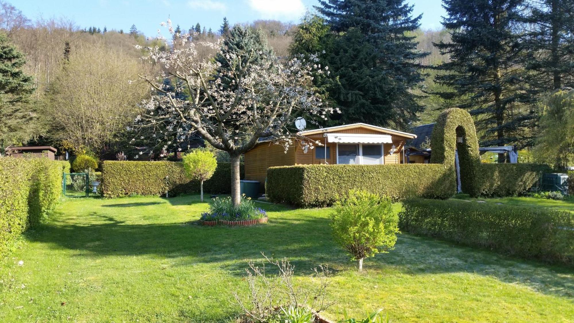 Villa Poolhaus im Südharz Harztor Exterior foto